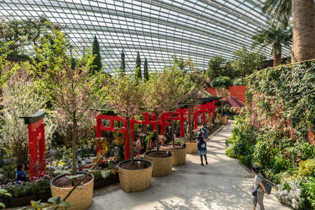 Singapore - March 22, 2019: Gardens by the Bay, the Flower Dome. Line of red Torii with black top as in Japanese Fushimi Inari Taisha Shinto shrine outside Kyoto. Trees in different colors and adjacent path.