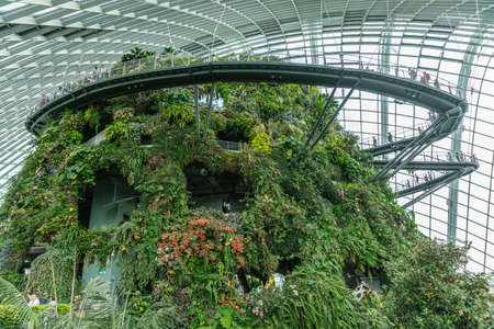 Singapore - March 22, 2019: Gardens by the Bay, the Cloud Forest Dome. Walkway with people around top of mountain under glass roof. Hill covered by green vegetation. Flowers add color.のeditorial素材