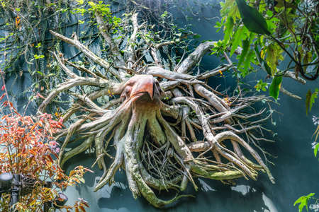 Singapore - March 22, 2019: Gardens by the Bay, the Cloud Forest Dome. Closeup of wooden tree stump turned into artwork depicting head of eagle. Gray, red and green in back.のeditorial素材