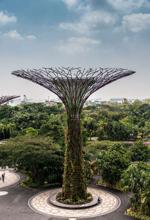 Singapore - March 22, 2019: Gardens by the Bay, Supertree Grove. One purple and green supertree in green garden against blue sky with white cloudscape. Ships in Strait on horizon.のeditorial素材