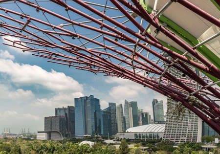 Singapore - March 22, 2019: Gardens by the Bay, Supertree Grove. Financial Dsitrict under blue sky partly hidden and fronted by branches of supertree. Container Terminal cranes.のeditorial素材