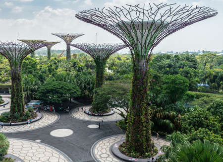 Singapore - March 22, 2019: Gardens by the Bay, Supertree Grove. Group of supertrees towering over green park under blue sky with white cloudscape. Foodtruck under foliage.のeditorial素材