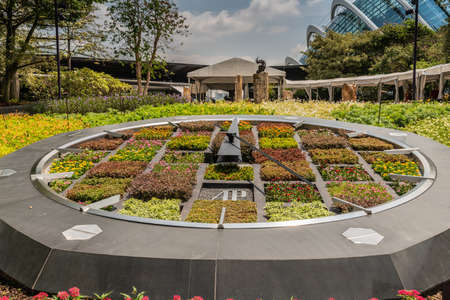 Singapore - March 22, 2019: Gardens by the Bay, Supertree Grove. large flower clock woth gray frame set in park with trees under cloudscape.のeditorial素材