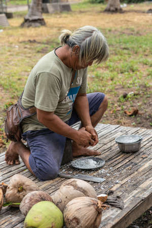 Ko Samui Island, Thailand - March 18, 2019: Gray haired man performs phase four of the coconut processing: scraping meat, copra, out of half using black metal tool, on which he sits. Green plantation scene.のeditorial素材