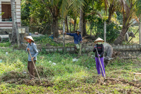 Nha Trang, Vietnam - March 11, 2019: Phuoc Trach rural neighborhood. Three farmers doing manual labor on grassy field, taking a rest leaning on a hoe. Lone buffalo in back.のeditorial素材