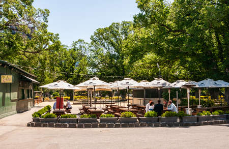 Melbourne, Australia - November 17, 2009: Belgian Beer CafÃ© Bluestone. Beer garden with people at tables with umbrellas under green tree foliage. Light blue sky.のeditorial素材