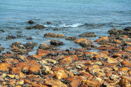 Newcastle, Australia - December 10, 2009: Closeup of rust-colored rocks forming stretch of beach. Black and white spots by shellfish. Blue South Pacific Ocean water.の写真素材