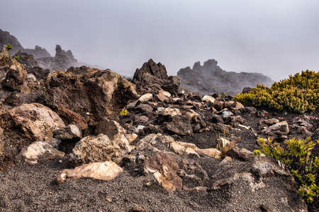 Haleakala Volcano, Maui, Hawaii, USA. - January 13, 2020: Brown, and black rocks and yellowish ground vegetation at edge of crater. Fog ovehangs.の写真素材