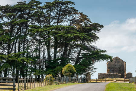 Stanley, Tasmania, Australia - December 15, 2009: Hightfield Historic Site. Road with tall green trees on side leads to gray-brown stone ruin building under light blue cloudscape.のeditorial素材