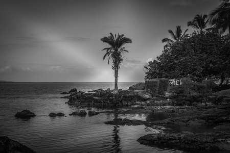 Hilo, Hawaii, USA. - January 9, 2012: Black and white photo of ocean coastline with rocks and trees...