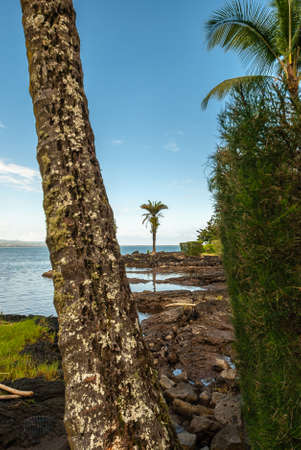 Hilo, Hawaii, USA. - January 9, 2012: Coastline with rocks and green trees of Liliuokalani Gardens....