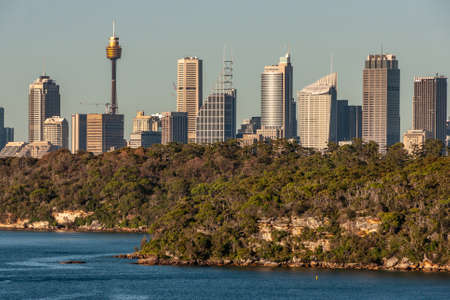 Sydney, Australia - December 11, 2009: City skyline with multiple skyscrapers seen from just past gate into the bay behind green foliage under light blue sky.のeditorial素材