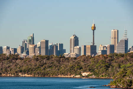 Sydney, Australia - December 11, 2009: City skyline with multiple skyscrapers seen from just past gate into the bay behind green foliage under light blue sky.のeditorial素材