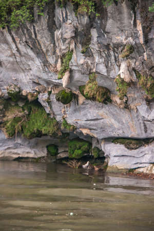 Guilin, China - May 10, 2010: Along Li River. Green foliage covers partly opening to cave in white-gray cliff on level with greenish water. Duck present under overhanging rock.の写真素材