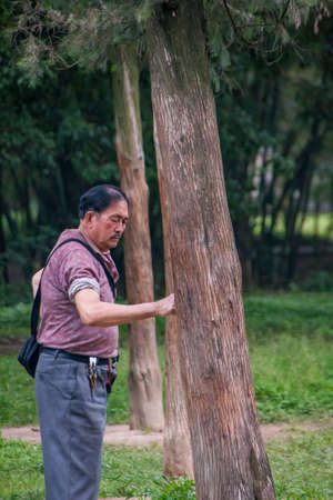 Guilin, China - May 11, 2010: Seven Star Park. Man punishes a tree with his fists in a Tai Chi spirit of exercise and meditation. Green foliage and brown trunks.のeditorial素材