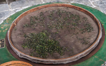 Guilin, China - May 11, 2010: Tea Institute. Roasting in process of green leaves slowly turning brown as they are on gray plate with brown frame above fire in a green stone pit.の写真素材