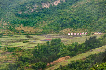 Zigui, China - May 6, 2010: Xiling gorge on Yangtze River. Green mountain slopes with agriculture plots on terraces. Green foliage and red on white mandarin signs. Some brown cliffs and green foliage.の写真素材