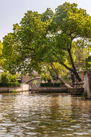 Tongli, JIangsu, China - May 3, 2010: Canal scenery. Big trees with green foliage hang over greenish-brown water with part of bow bridge in back under light blue sky.のeditorial素材