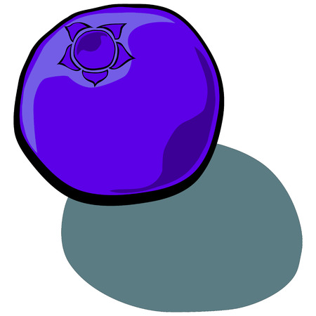 Cute Blueberry vector cartoonのイラスト素材