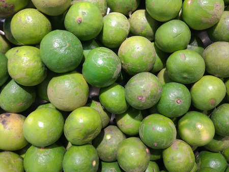 Plenty of green oranges in the market in Thailandの写真素材
