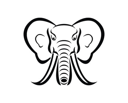 Elephant logo design vector illustrationのイラスト素材