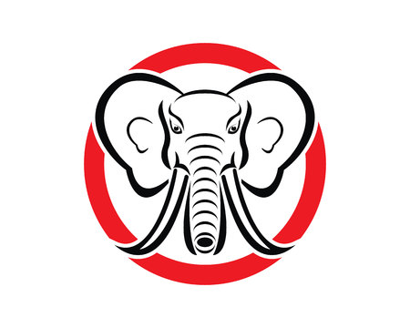 Elephant logo design vector illustrationのイラスト素材
