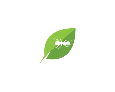 Ant logo template vector illustration designのイラスト素材