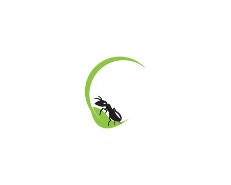Ant logo template vector illustration designのイラスト素材