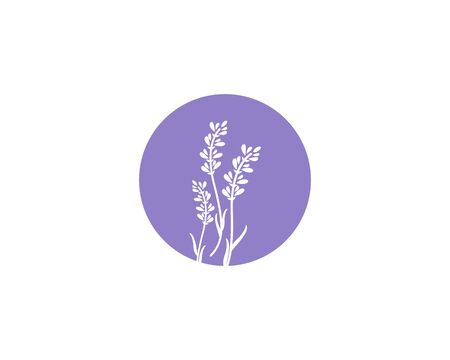 Lavender flowers icon vector illustrationのイラスト素材