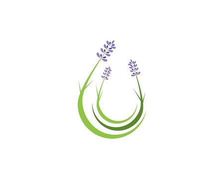 Lavender flowers icon vector illustrationのイラスト素材