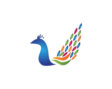 Peacock icon and symbol vector illustrationのイラスト素材