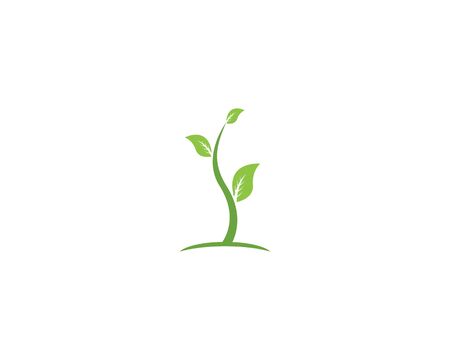 Nature leaf icon and symbol vector illustrationのイラスト素材