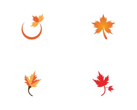 Maple leaf vector illustration design templateのイラスト素材
