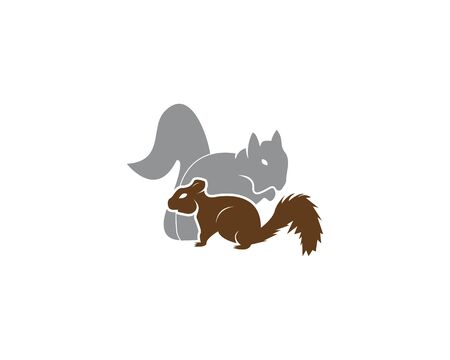 Squirrel image logo symbol vector illustration on white backgroundのイラスト素材