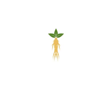 Ginseng vector icon illustration design templateのイラスト素材