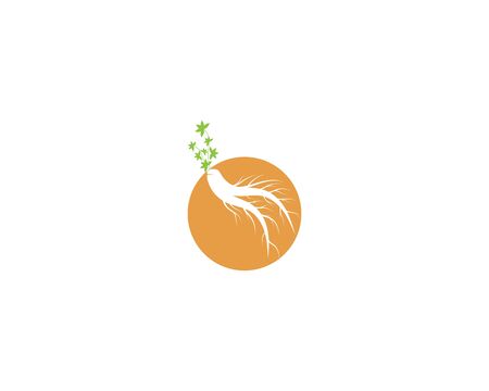 Ginseng vector icon illustration design templateのイラスト素材