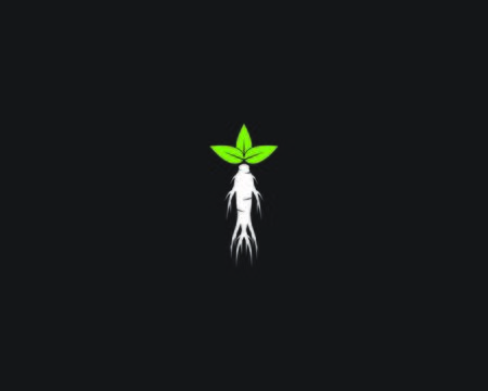 Ginseng vector icon illustration design template on black backgroundのイラスト素材