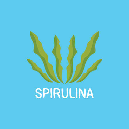 Spirulina icon and symbol vector logo template illustrationのイラスト素材