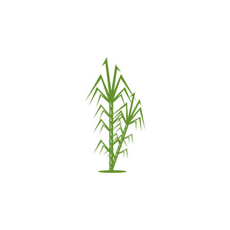 Sugarcane logo vector templateのイラスト素材
