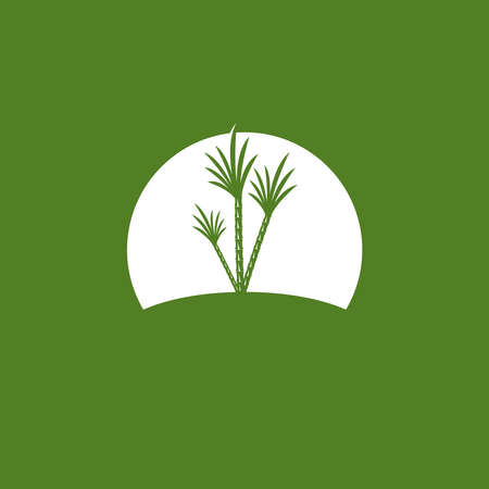 Sugarcane vector templateのイラスト素材