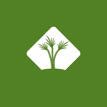 Sugarcane vector templateのイラスト素材