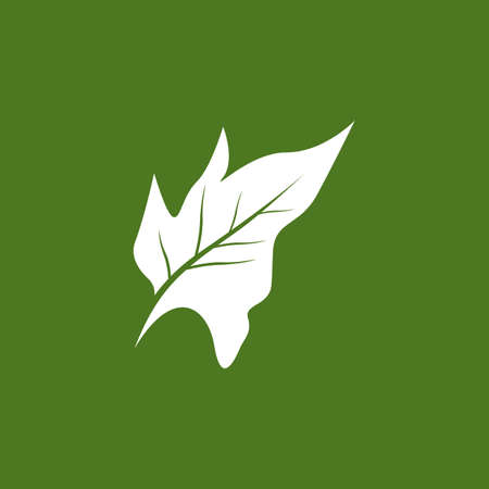 Nature leaf icon and symbol template vectorのイラスト素材