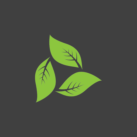 Green Leaf Nature Plant Conceptual Symbol Vector Illustration