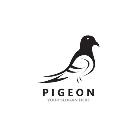 Pigeon bird logo vector icon illustration design templateのイラスト素材