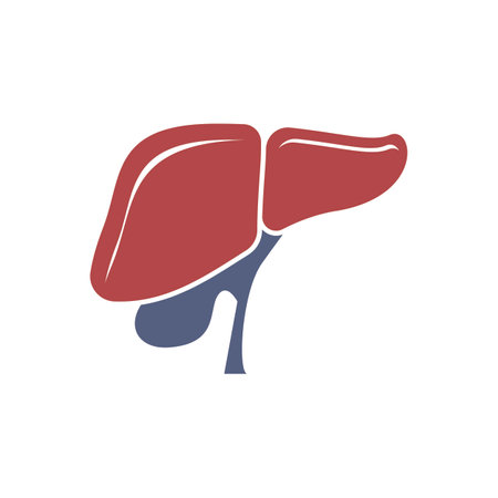 Liver medical logo vector template illustrationのイラスト素材
