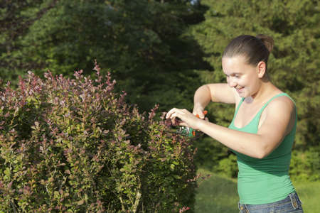 Cute smiling girl cutting and trimming hedges in the sunny gardenの写真素材