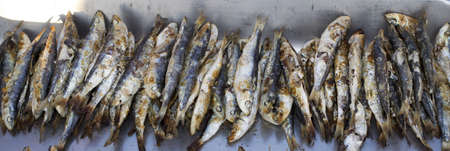 Grilled sardinesの写真素材
