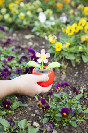 Hand holds electronic solar powered flower in the gardenの写真素材
