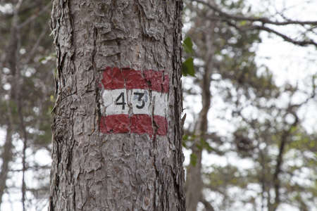 Red and white hiking trail signs symbol in European alps 