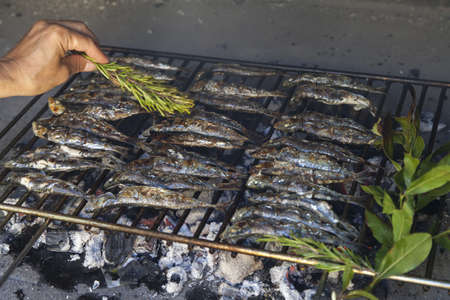 Fresh Mediterranean fishes on traditional BBQ fireplace, oiling with virgin olive oil, selective focusの写真素材